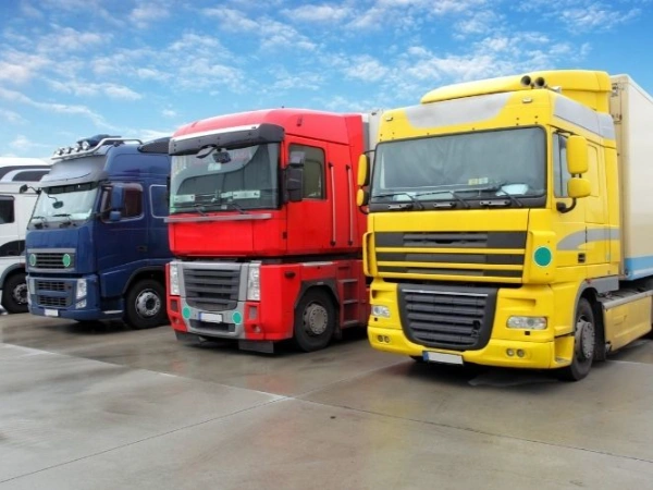 Antalya Tortum Nakliye